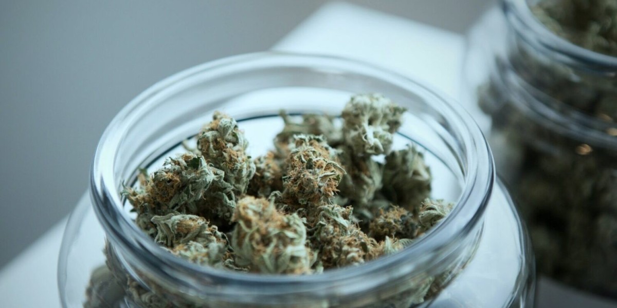 Finding Your Go-To Weed Dispensary in Washington DC