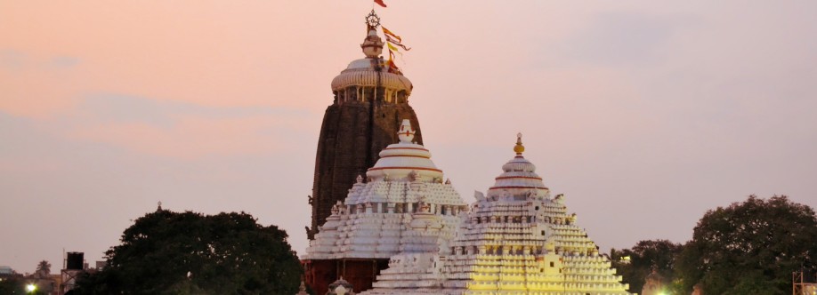 Mypuritour Puri Holidays and Tour Packages Cover Image