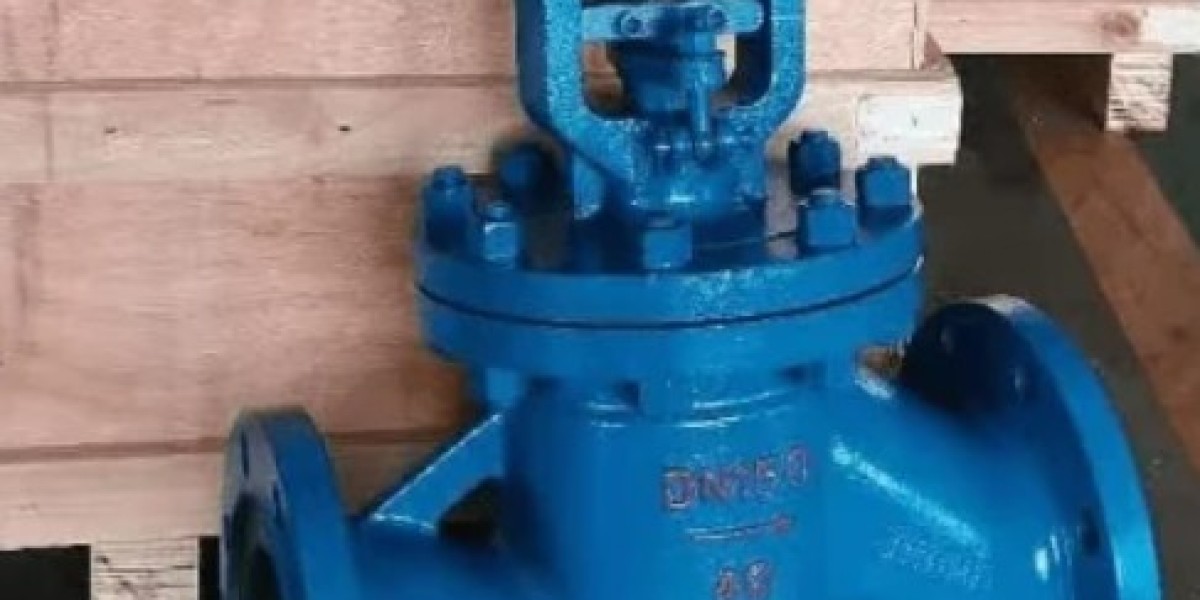 Bellow Seal Globe Valve Manufacturer in India