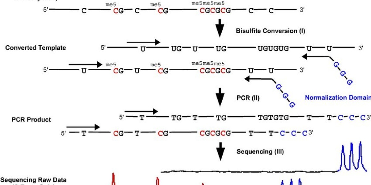 Have you learn DNA Methylation?