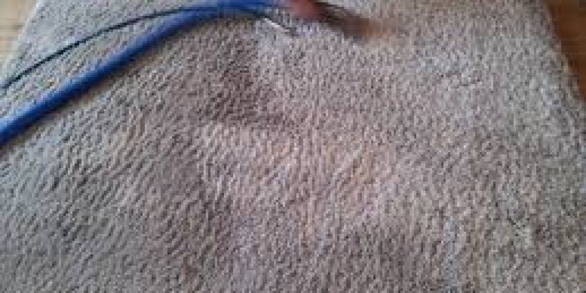 ﻿﻿﻿Elevate Your Home with Professional Carpet Cleaning Expert