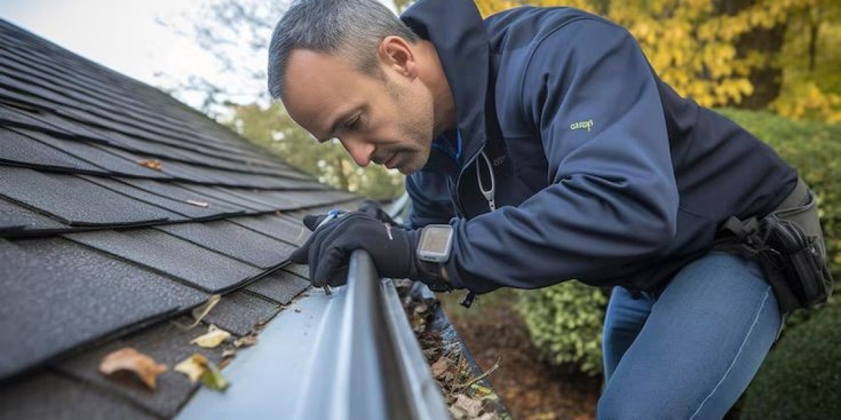 Keep Your Home Safe with the Best Rain Gutter Cleaner