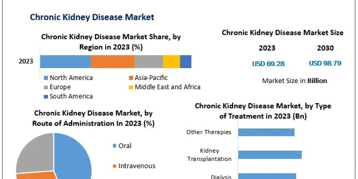 Chronic Kidney Disease Market Magnitude: Size, Share, Revenue, and Worth Statistics Unveiled | 2024-2030