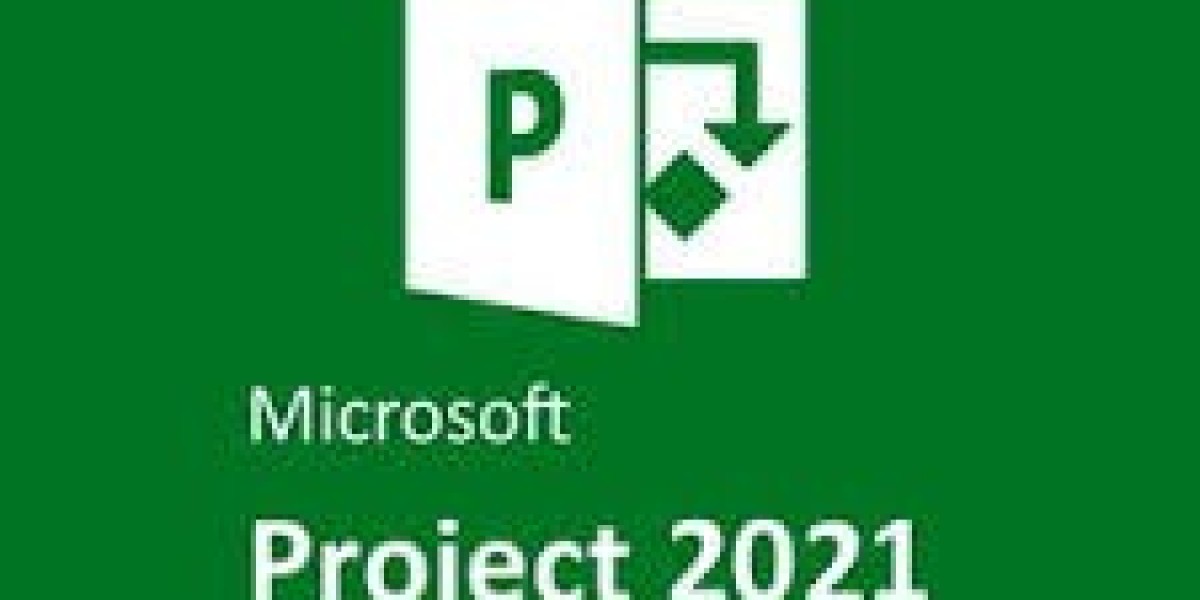 Purchase Project 2021 Professional 1PC Key the Best Project Management Tool